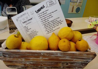 Learning important facts about lemons