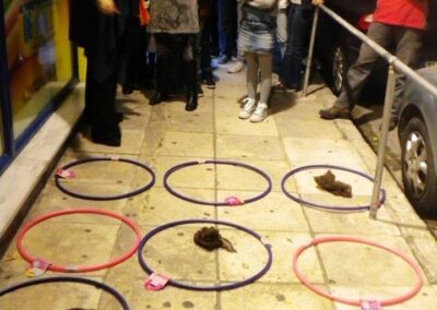 Hula hoop game to practise prepositions