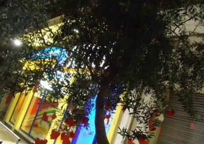 We hang our Valentine hearts on our olive tree